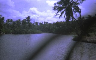 trinidad.gif