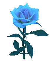 bluerose.gif