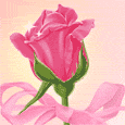 rose2.gif